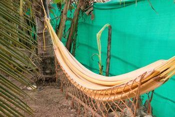 Wonderland Hostel 