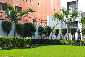 Vits Mango Blossom Garden