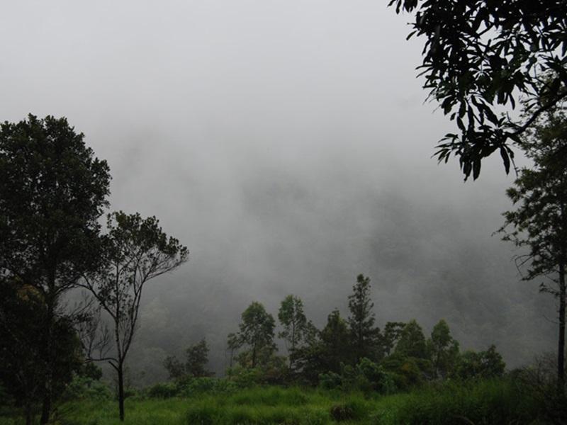 Magic Mist Resorts 