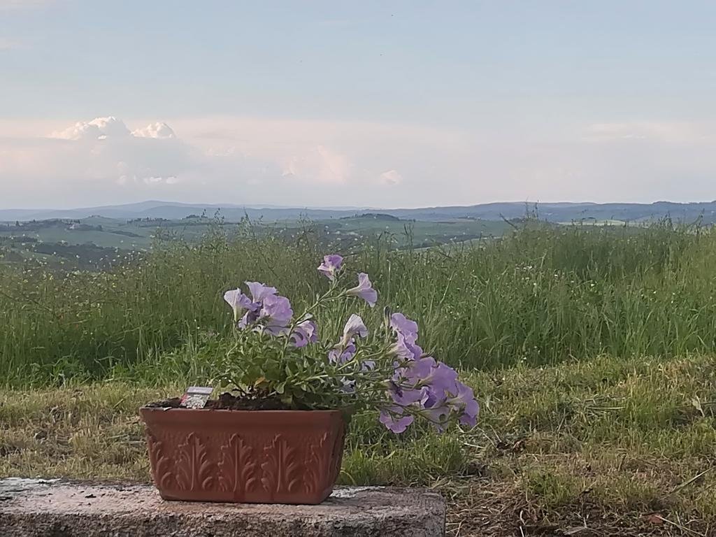 Agriturismo Colle Sant'alfredo 