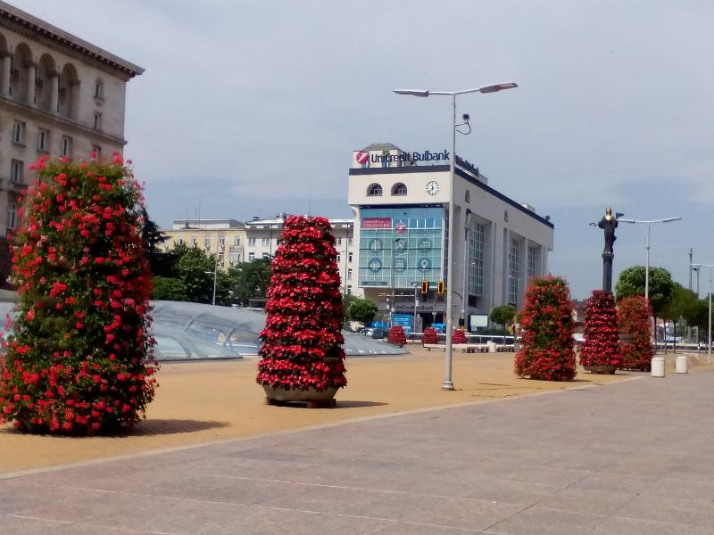 Alexander Business Apartments Terrace