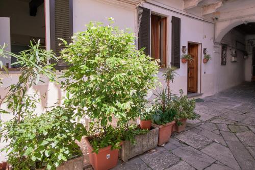 Delle Monache 
