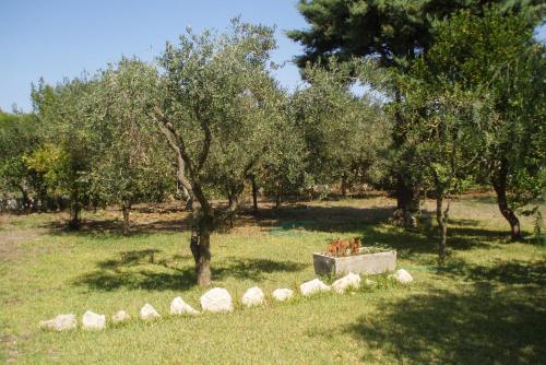 Adria Relax M194 