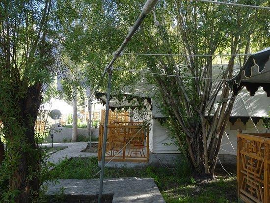 Nubra Ethnic Camp (نوبرا اتنیك كامپ) 