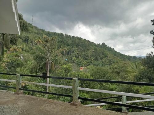 7 Treez Munnar 