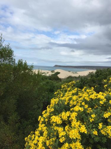 Netta Se Huis Self Catering By Ocean 