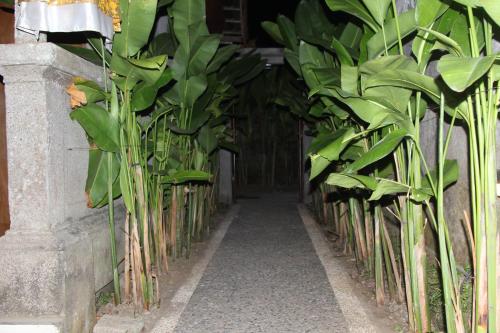 Jerogadung House 