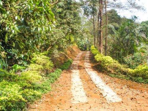 Room In A Homestay In Madikeri By Guesthouser 19515 (روم این آ هومستی این مادیكری بای گوستوسر ۱۹۵۱۵) 