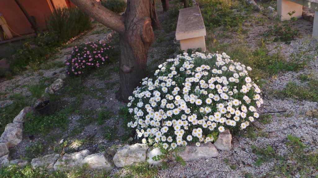 Oasi Ottocento 