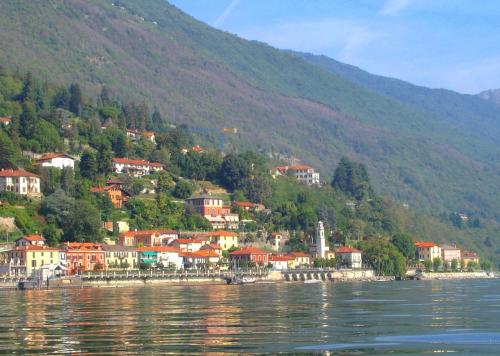 Selva 2 