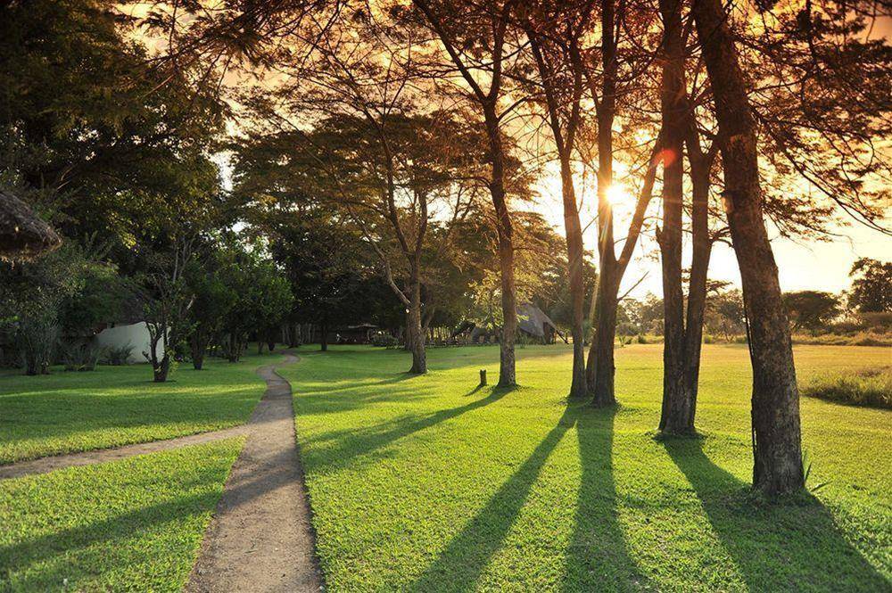 Thorntree River Lodge All Inclusive 