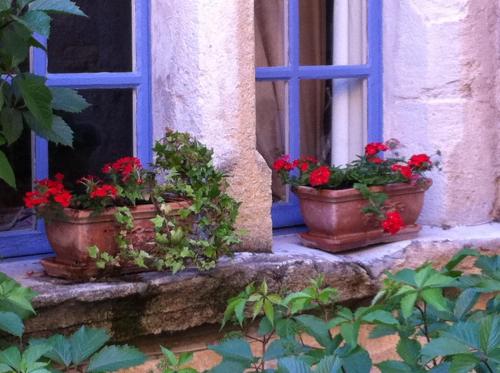 Un Patio En Luberon 