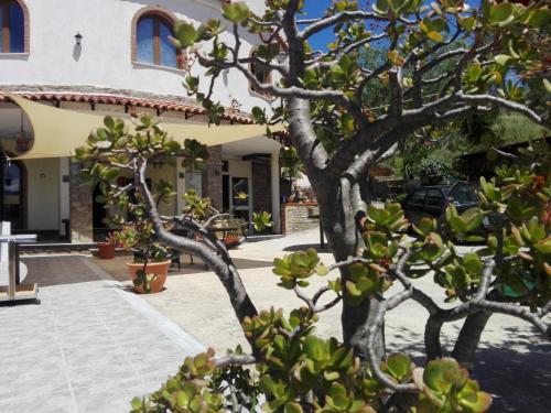 Villa Nicol 