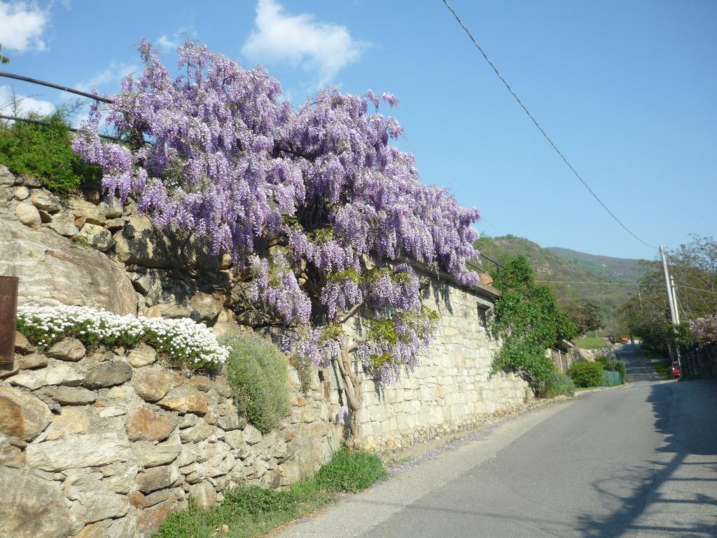 Via Francigena 