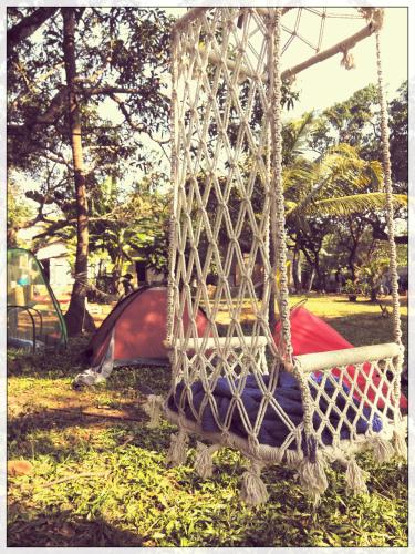 The Lazy Llama Hostel 