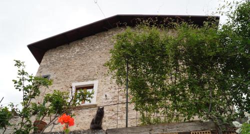 Punti Di Vista 