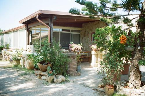 Nepole Home Holiday (نپول هوم هالیدی) 