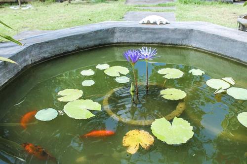 2 Angels Homestay 