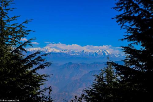 Himalayan Roots Kanatal 