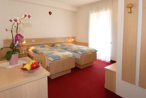 Hotel Zanon (هتل زانون) 