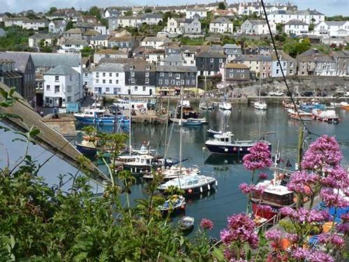 Rose Cottage St. Austell (رز كوتاج سنت آوستل) 