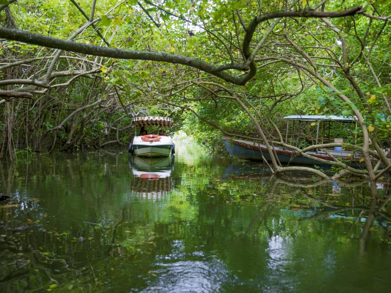 Isola Di Cocco 