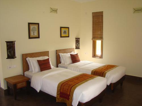 Musa Jungle Retreat 