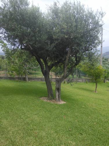 B&b Belvedere 