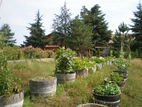 Cascina La Maddalena Bed & Wine 