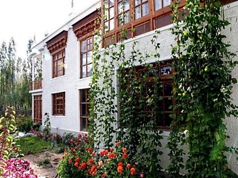 Gangs Shun Homestay 