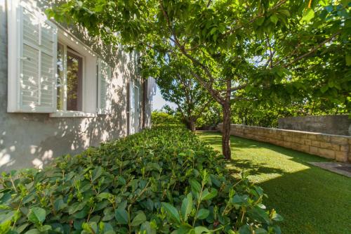 Apartments Roza 