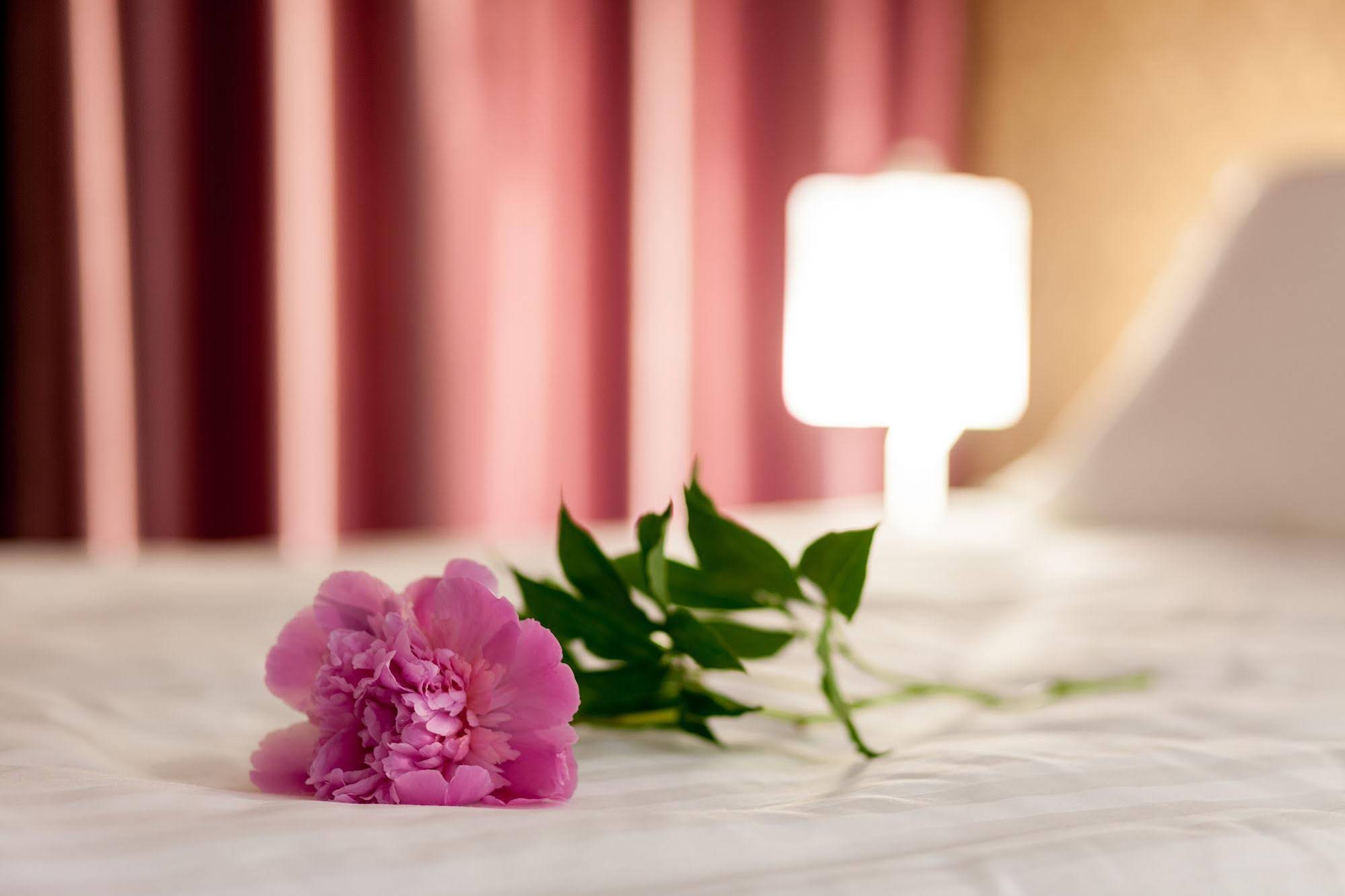 Hotel Tomis 