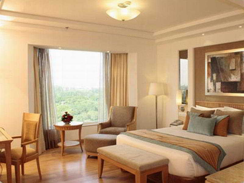 Vista Park Room