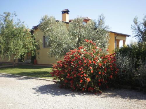 Locanda Degli Etruschi 
