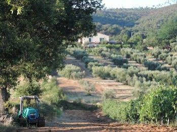 Agriturismo Il Quarto 