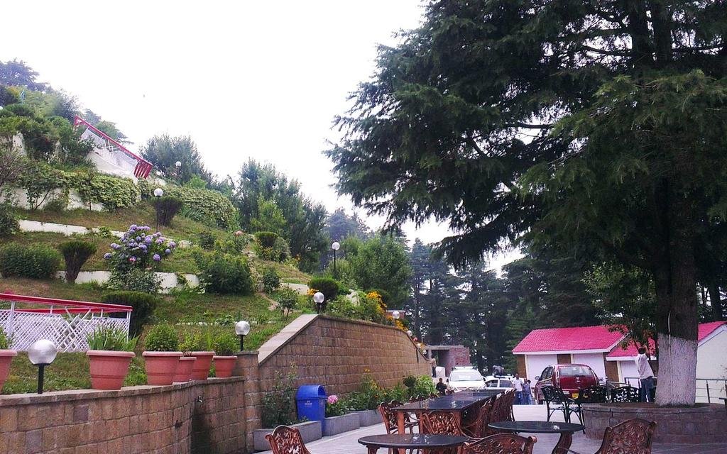 Hotel Green Top 