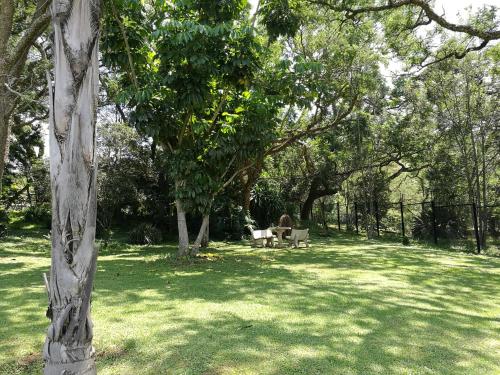 Ametis Guest Farm (آمتیس گست فارم) 