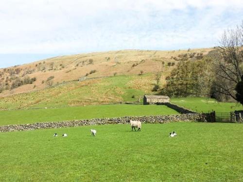Farrier's Cottage Sedbergh 