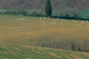 Locanda Vesuna Photo