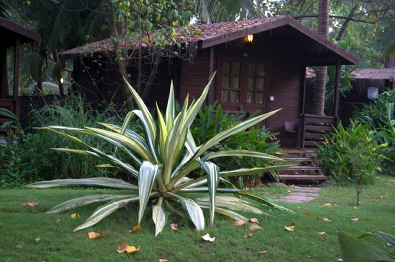 Montego Bay Beach Village (مونتگو بی بیچ ویلاج) Room