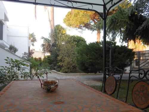 B&b Le Tarantine 