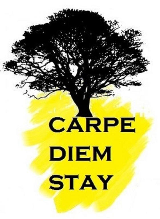 Carpe Diem Stay 