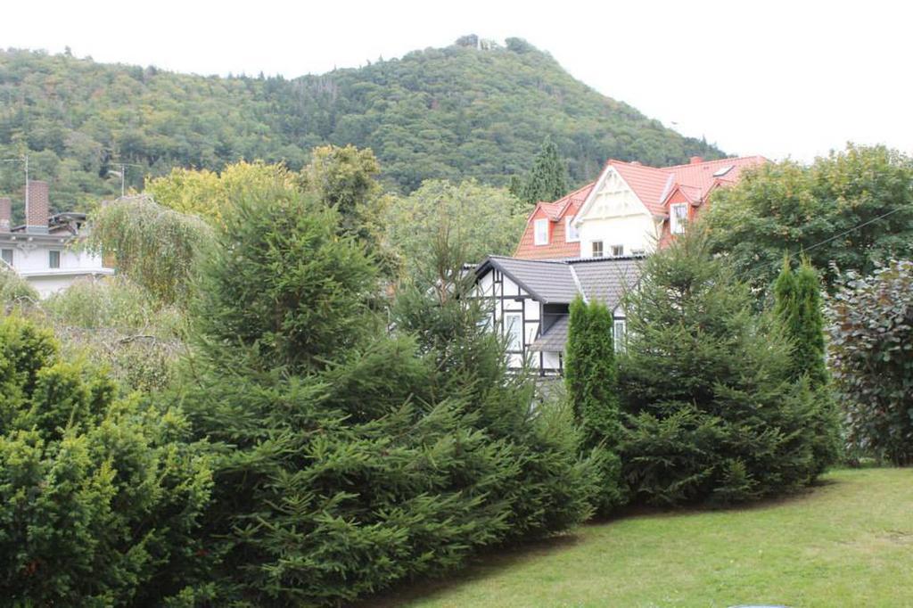 Haus Annenburg (هاوس آننبورگ) 