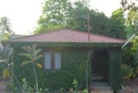 Zip By Spree Hotel Raashi Farm 