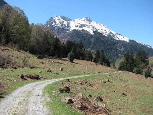 Chambres D'hÔtes Les Passiflores 