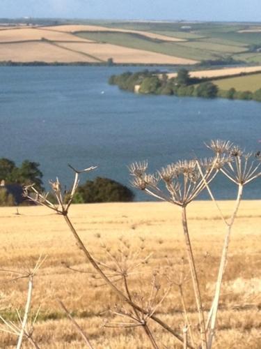 Westwaterhead 