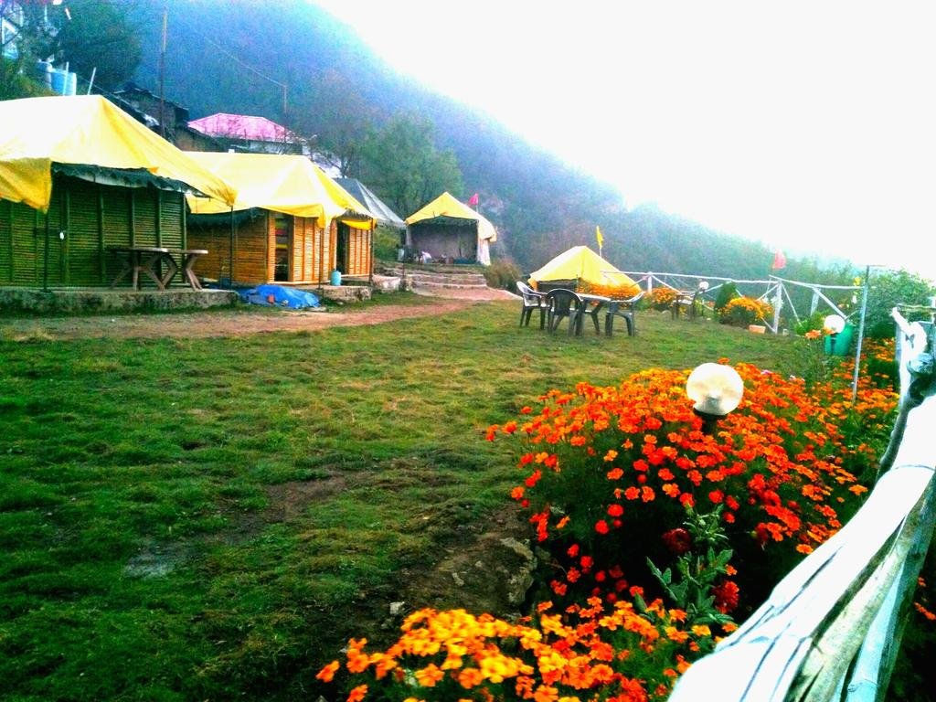 Camp Dhanaulti Magic 