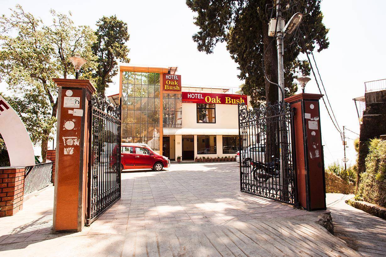 Hotel Majestic Oak Bush 