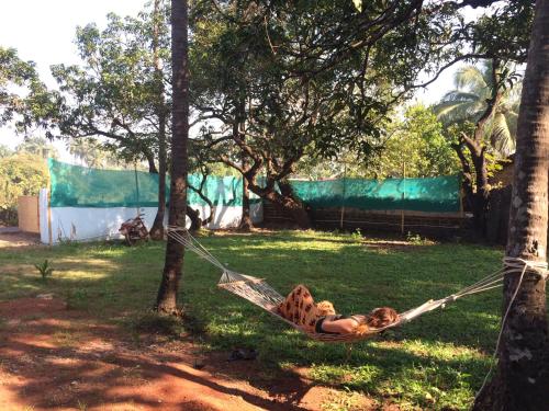 The Lazy Llama Hostel 