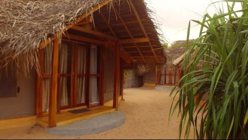Jungle Beach Camp 